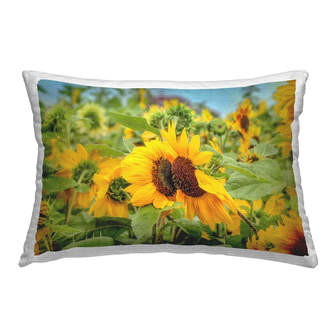 Country Sunflower Garden Design by Carrie Ann Grippo-Pike Outdoor Printed Pillow